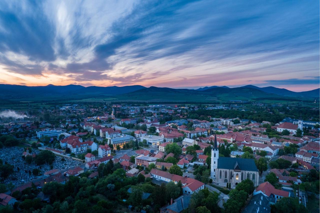 Hotel Bodrog Wellness&Elix Spa Sárospatak Eksteriør bilde