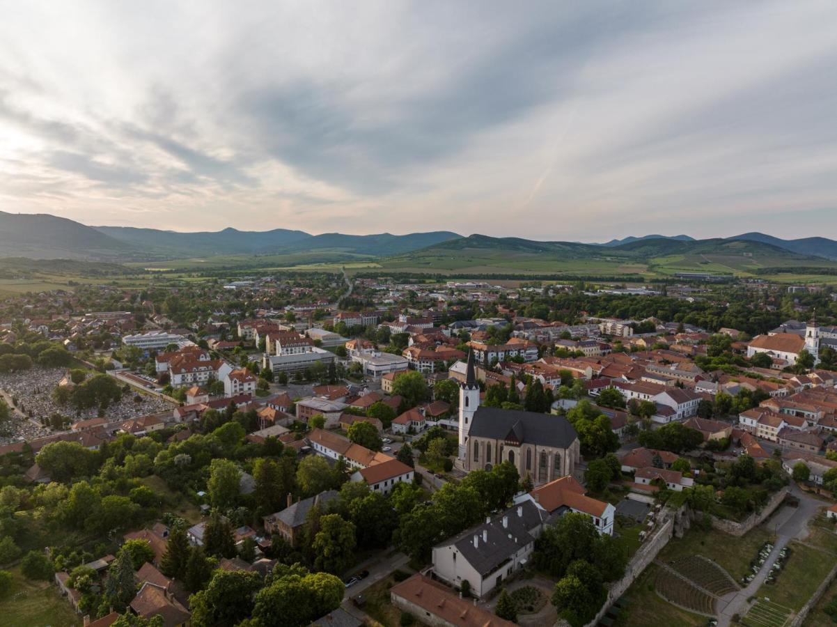 Hotel Bodrog Wellness&Elix Spa Sárospatak Eksteriør bilde